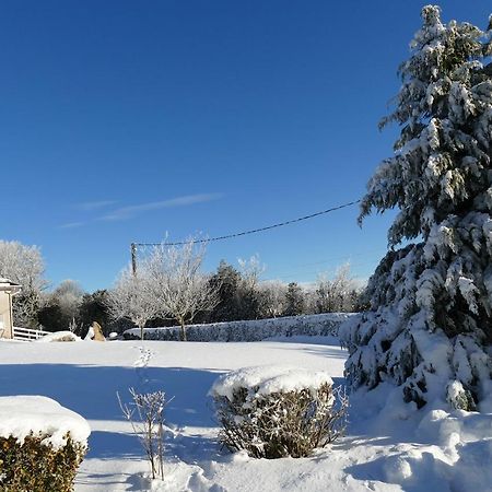 Le Gite De L'Adrech Lacaune Buitenkant foto