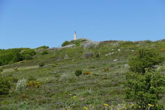Le Gite De L'Adrech Lacaune Buitenkant foto